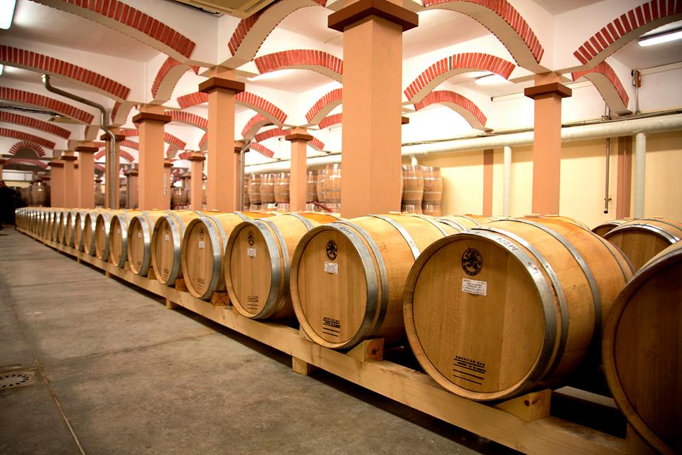 Chateau Asena