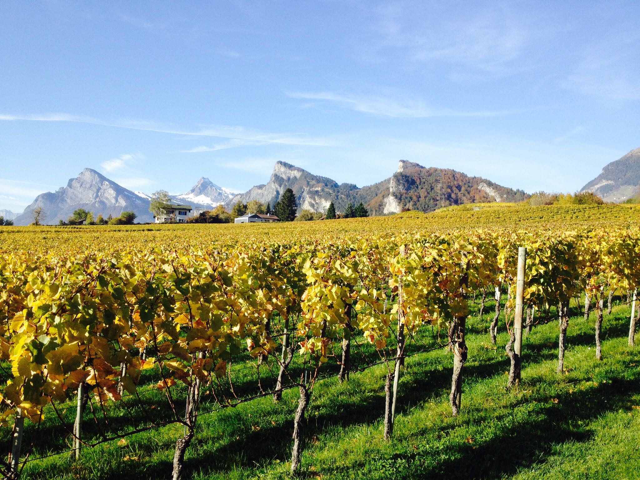 les Grisons